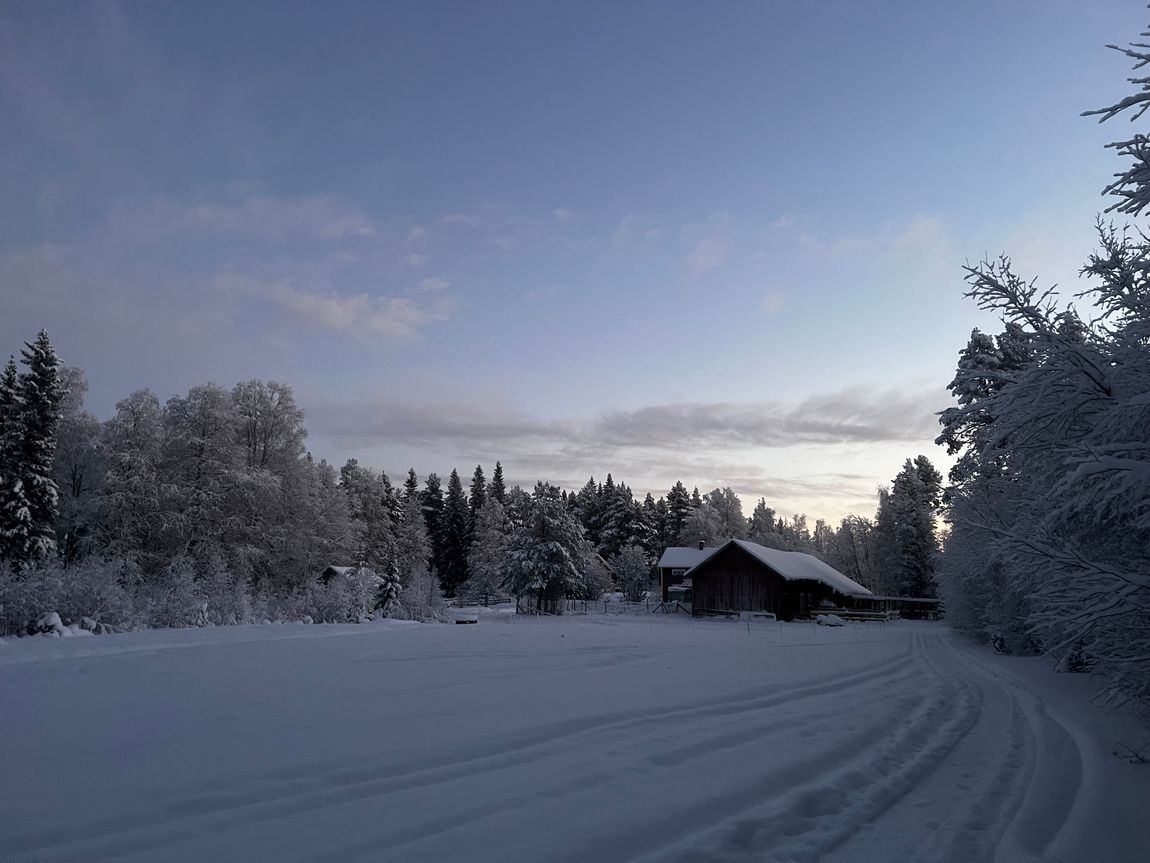 Starte dein Lappland Abenteuer jetzt!