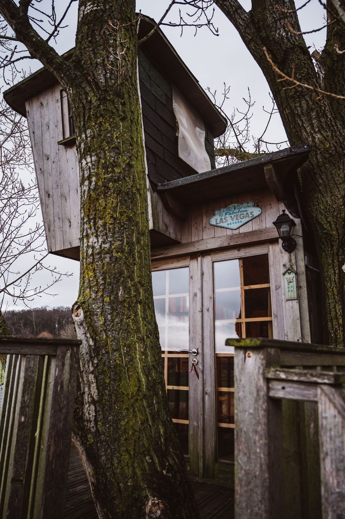 Dreamlike tree house in rural location