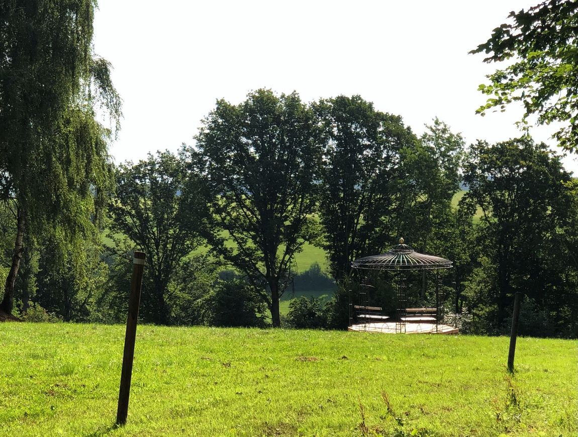 Zelten im Buchenwald mit Vogelgezwitscher 
