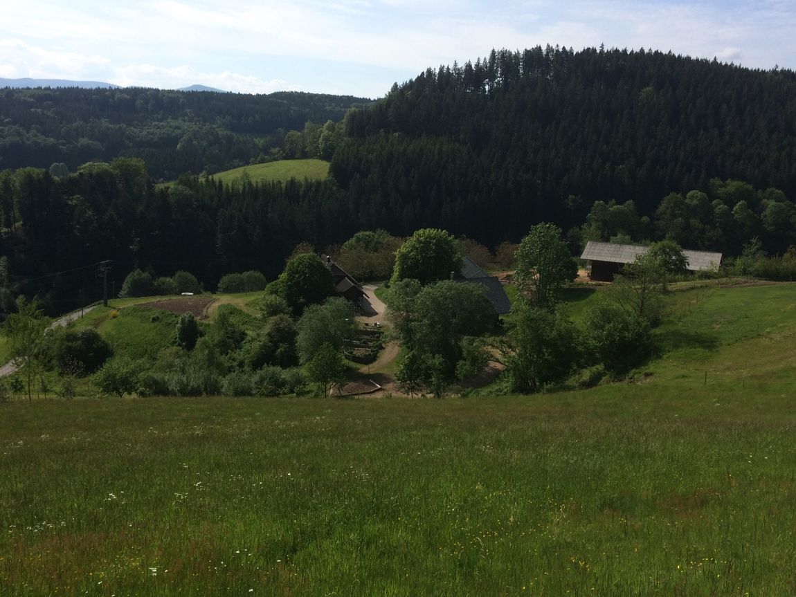 No. 2 - Camping on a farm in the Black Forest