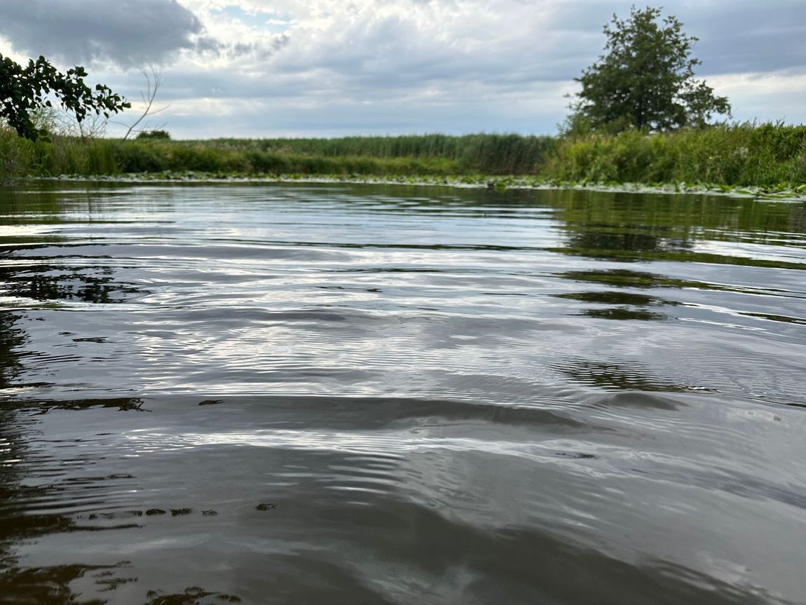Natur, Wasser und Land(er)leben - Seenlandcamping