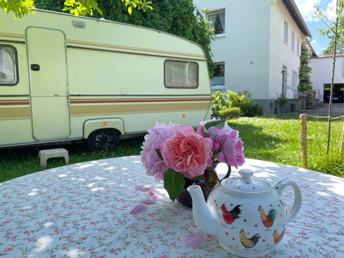 Yard camping with Börde view