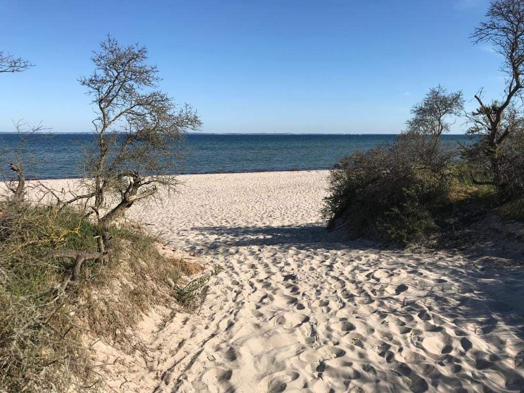 Camping on the Baltic Sea only 5km to the sea