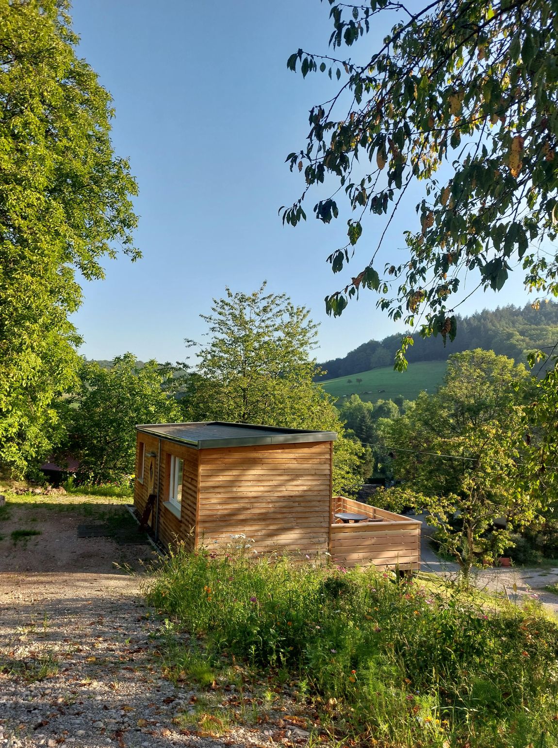 Tiny House im Schwarzwald – Natur pur in Wildtal