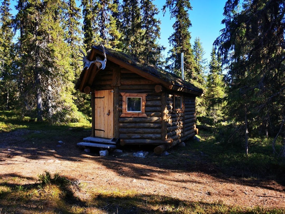 rustic log cabin "Crazy Loon" - experience pure nature