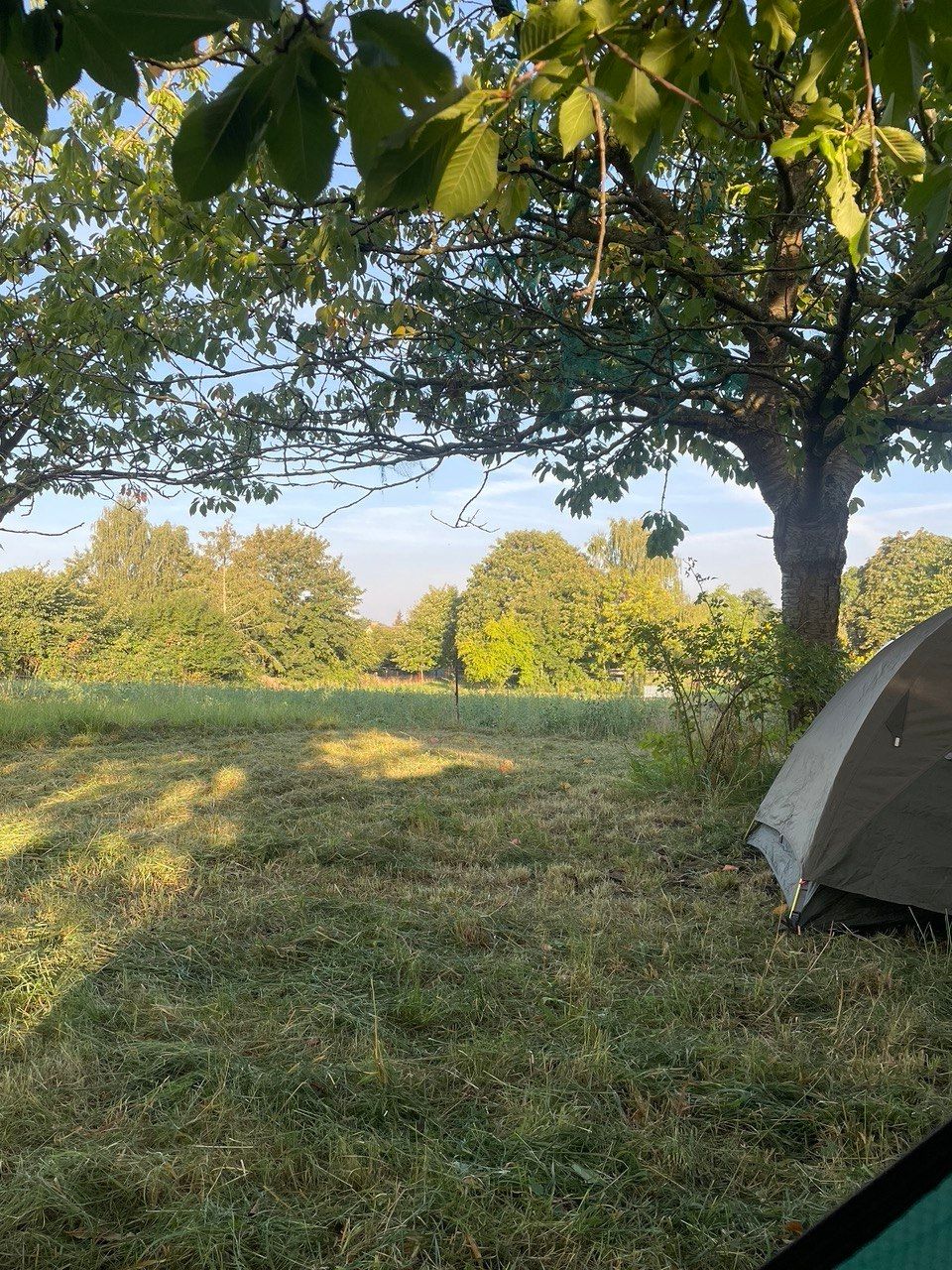 Zelten auf der Obstwiese nahe dem Kummerower See
