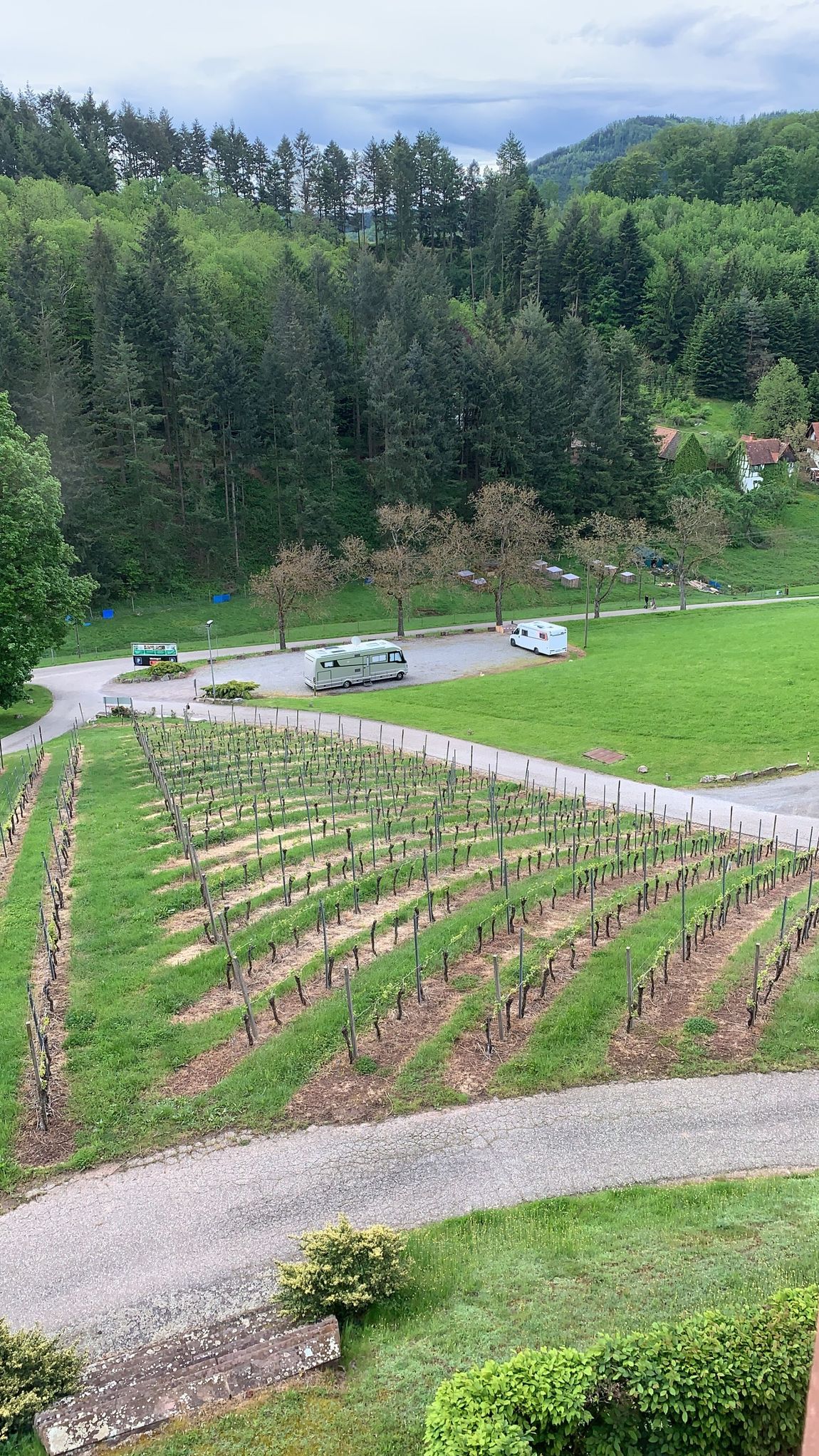 Ruhiger Platz unterhalb eines Weingutes in Durbach