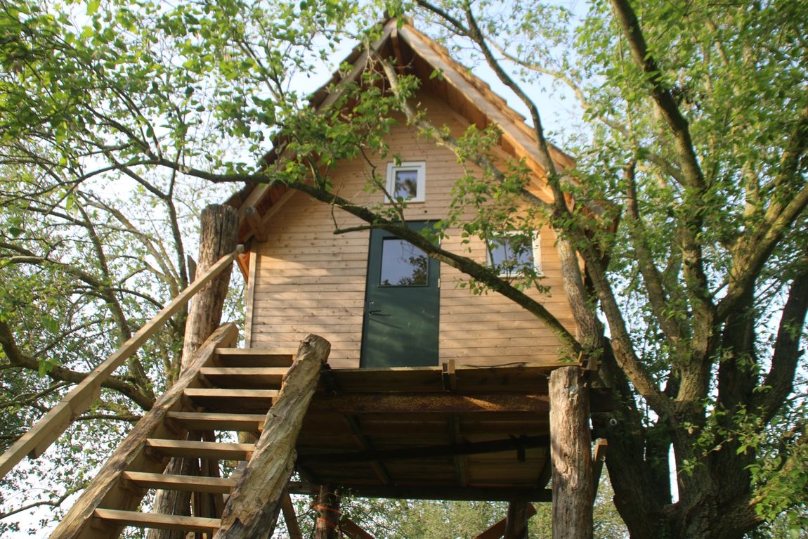 Öko Tiny Haus im Baum