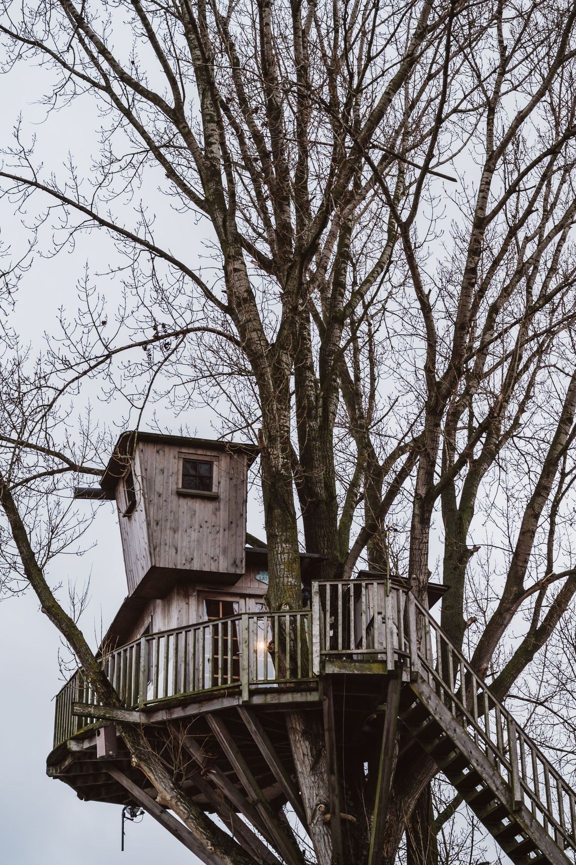 Casa sull'albero da sogno in posizione rurale