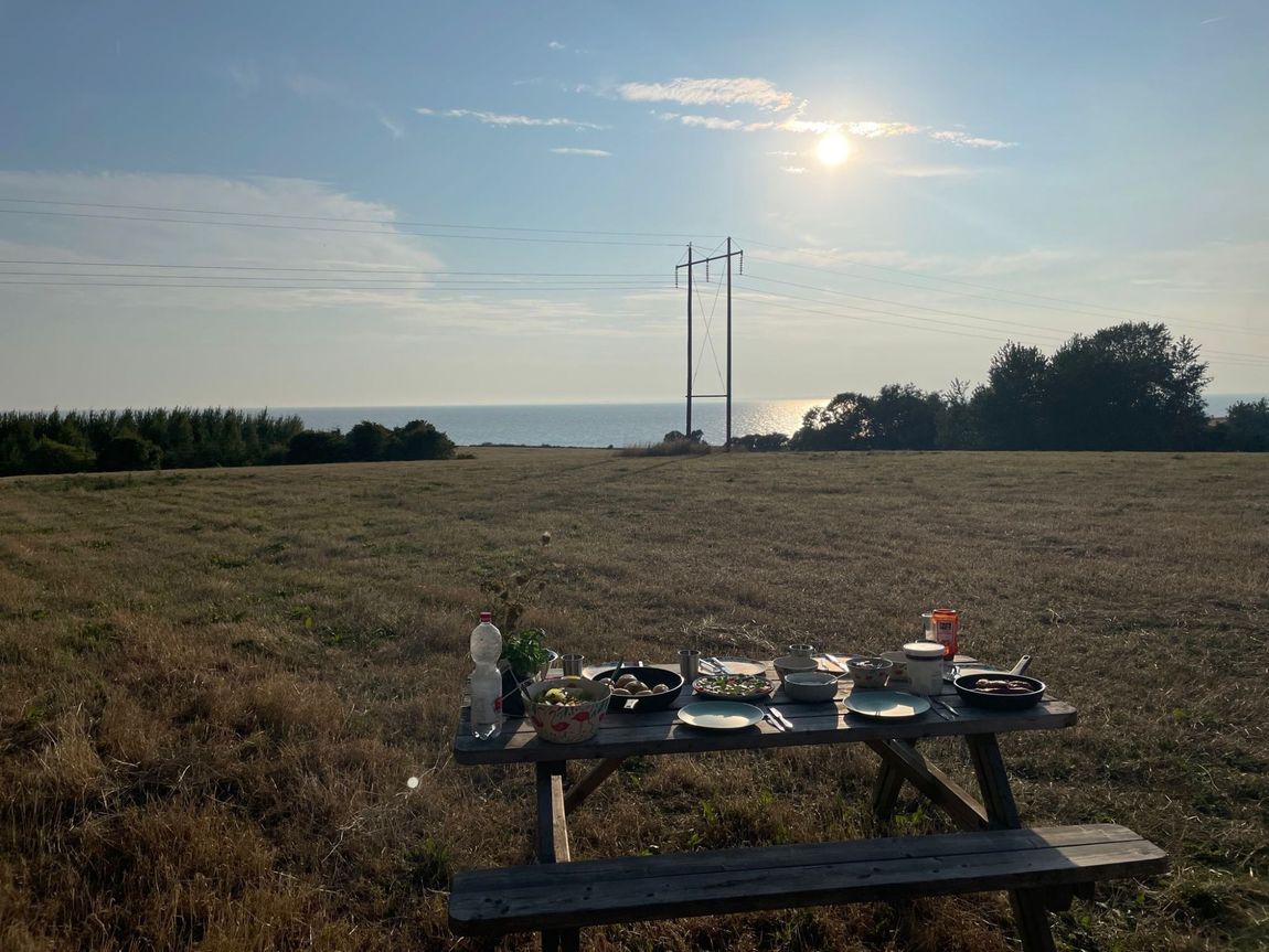 Meadow on the island of Ærø with view of the Baltic Sea