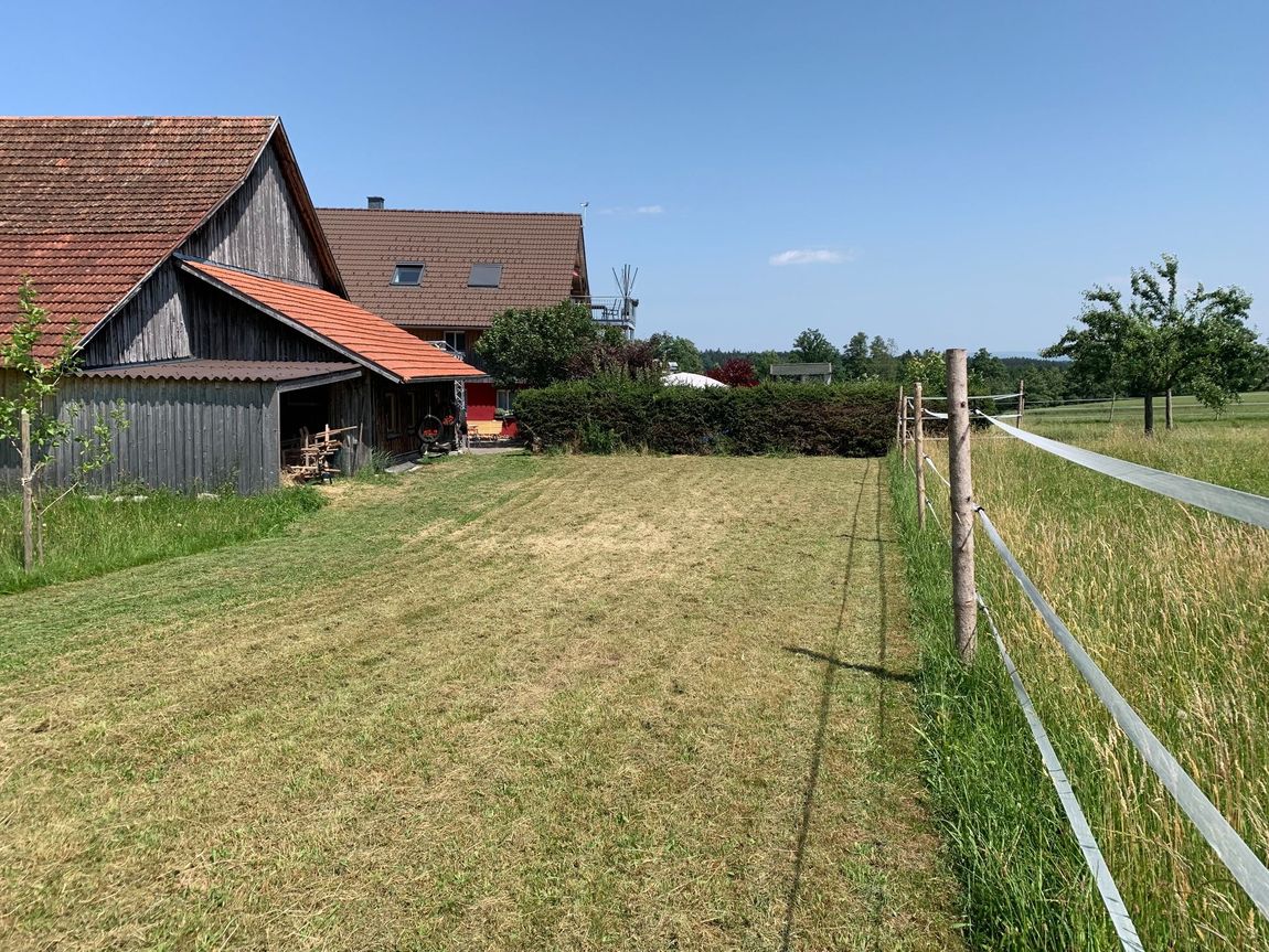 With the horses in the Allgäu