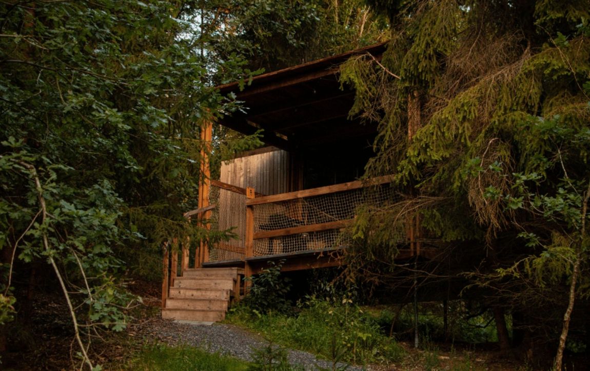 Cosy Cabin in der grünen Natur der Ardennen (BE)