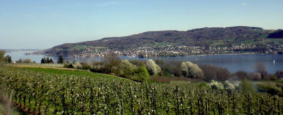 Resettlement farm on the Höri peninsula of Lake Constance