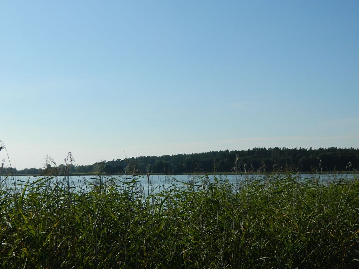 Meadow with direct lake access