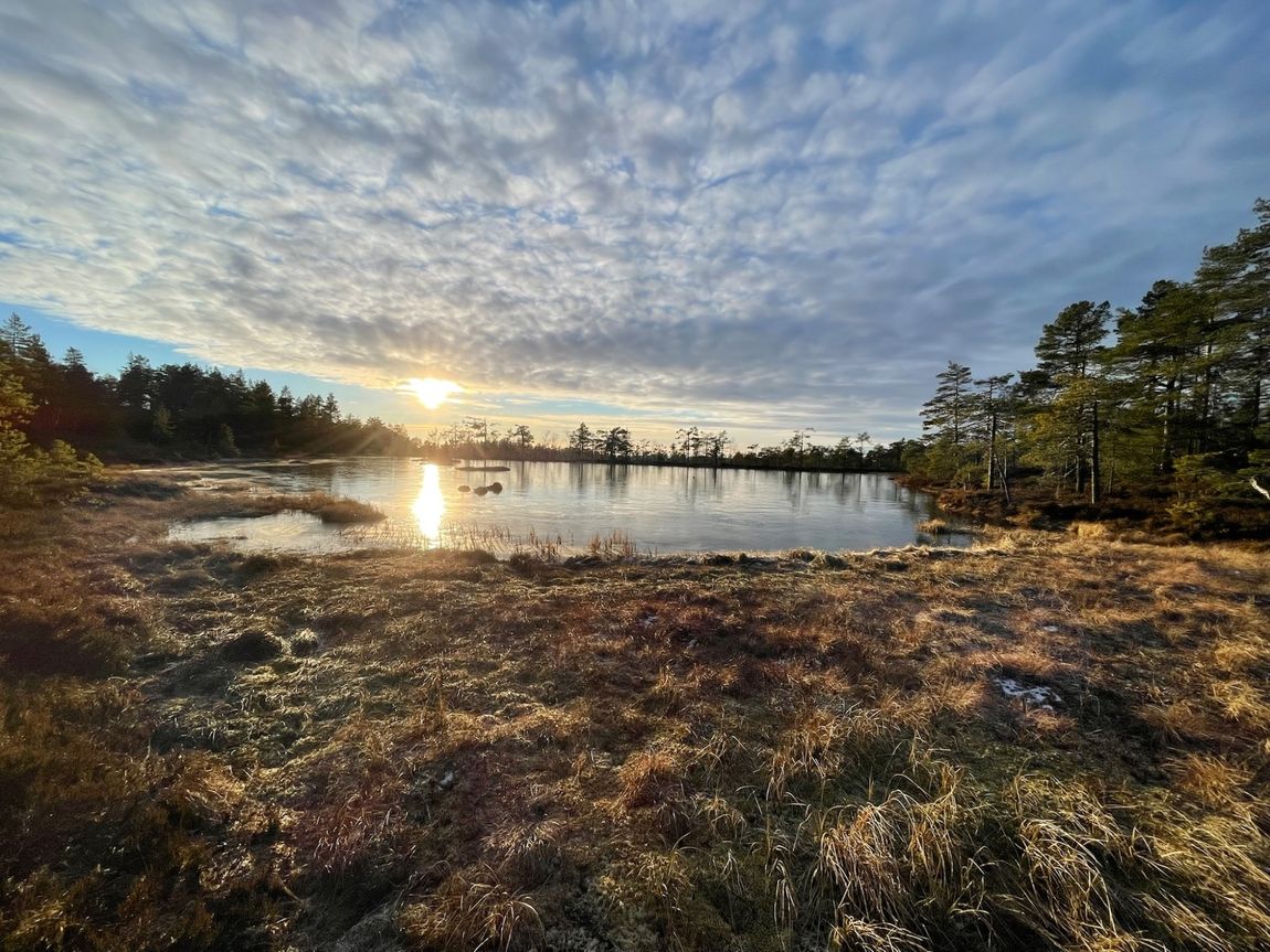 Traumhafte Idylle mitten im Wald in Schweden
