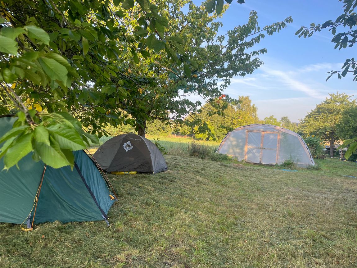 Zelten auf der Obstwiese nahe dem Kummerower See