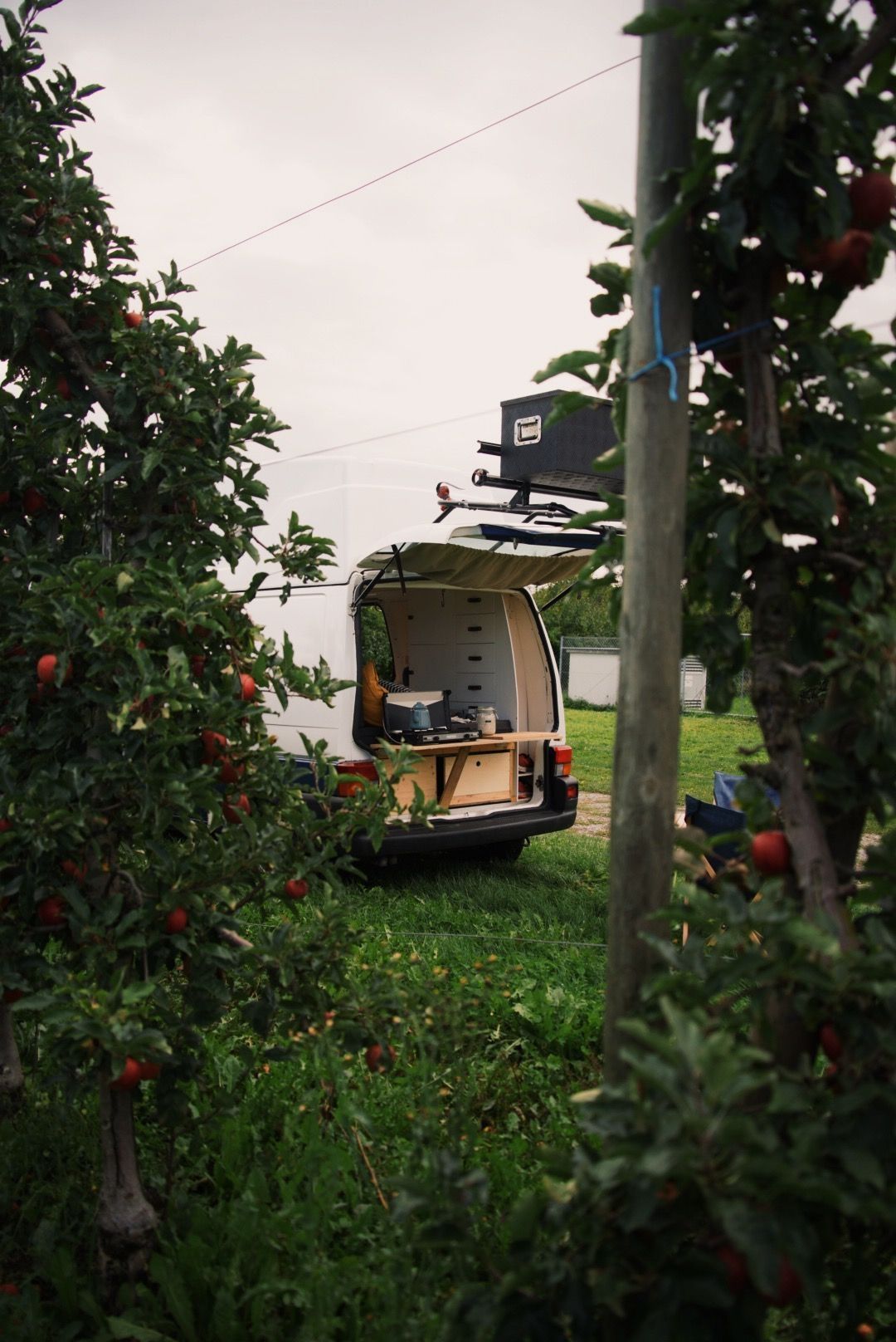 Camping with a view of Lake Constance apple trees