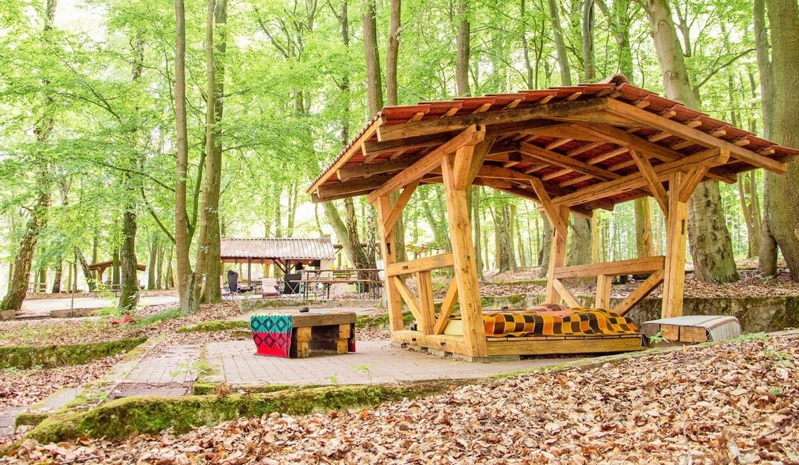 Schlaf-Wald-Shelter im Buchengrün