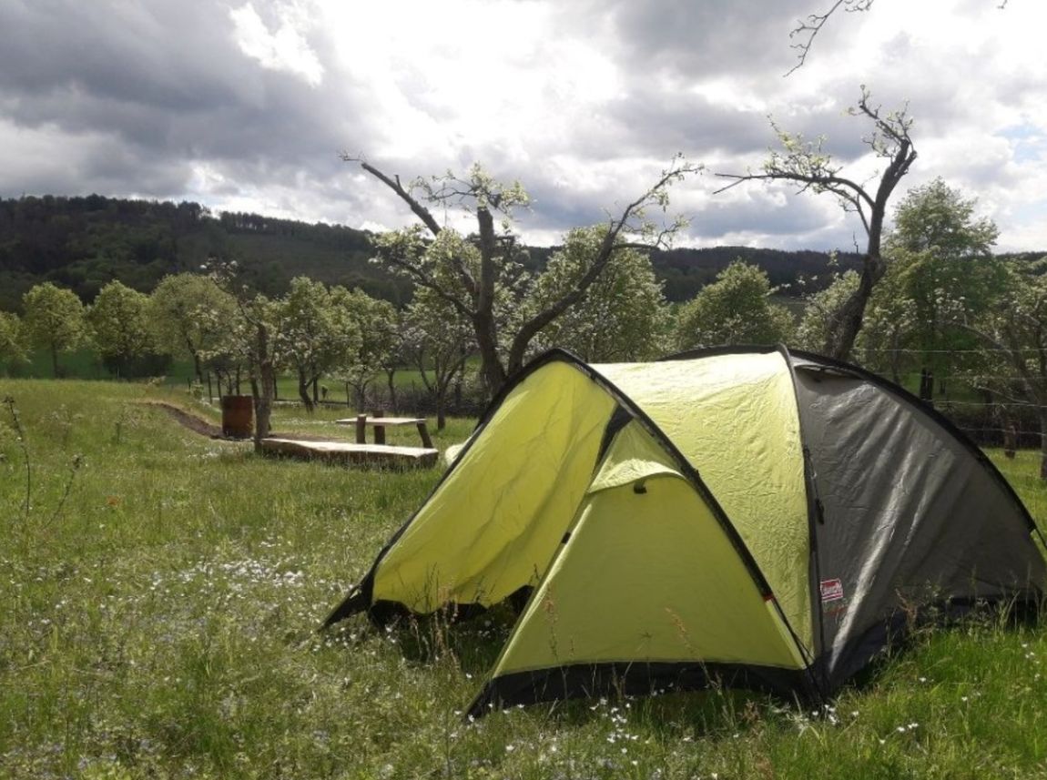 Tent meadow in apple forest
