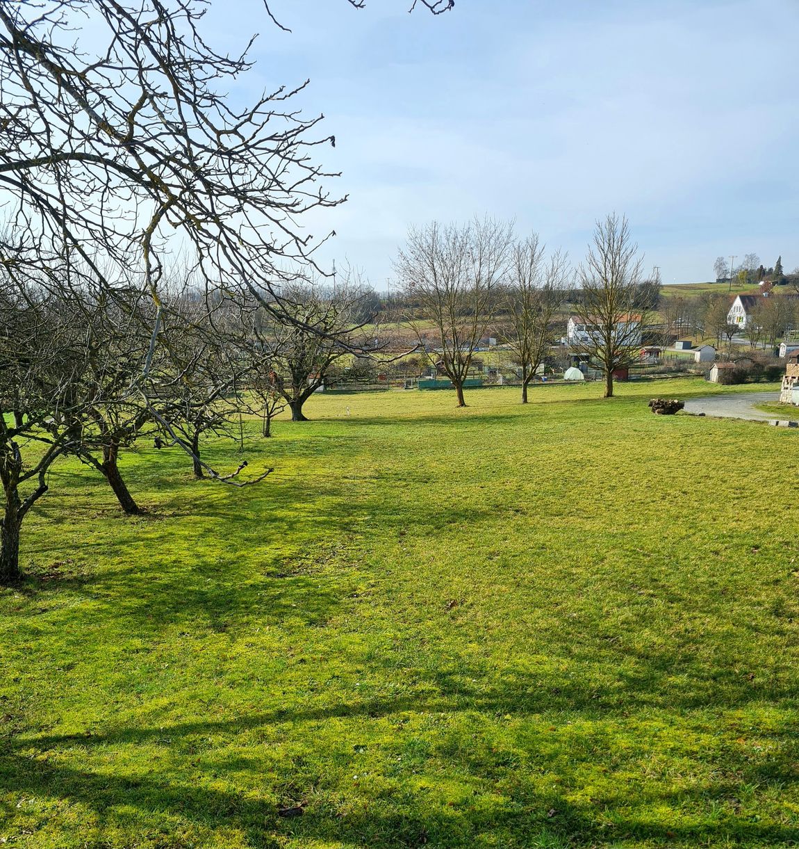 Zeltplatz auf der Obstbaumwiese in Franken
