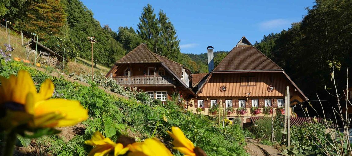 Urlaub im Schwarzwald Ferienbauernhof für Camper