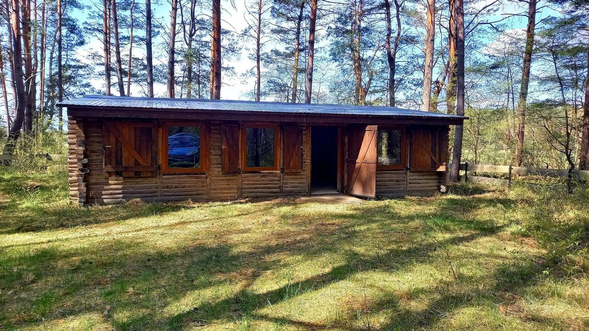 Back to the roots: Blockhütte im Wald