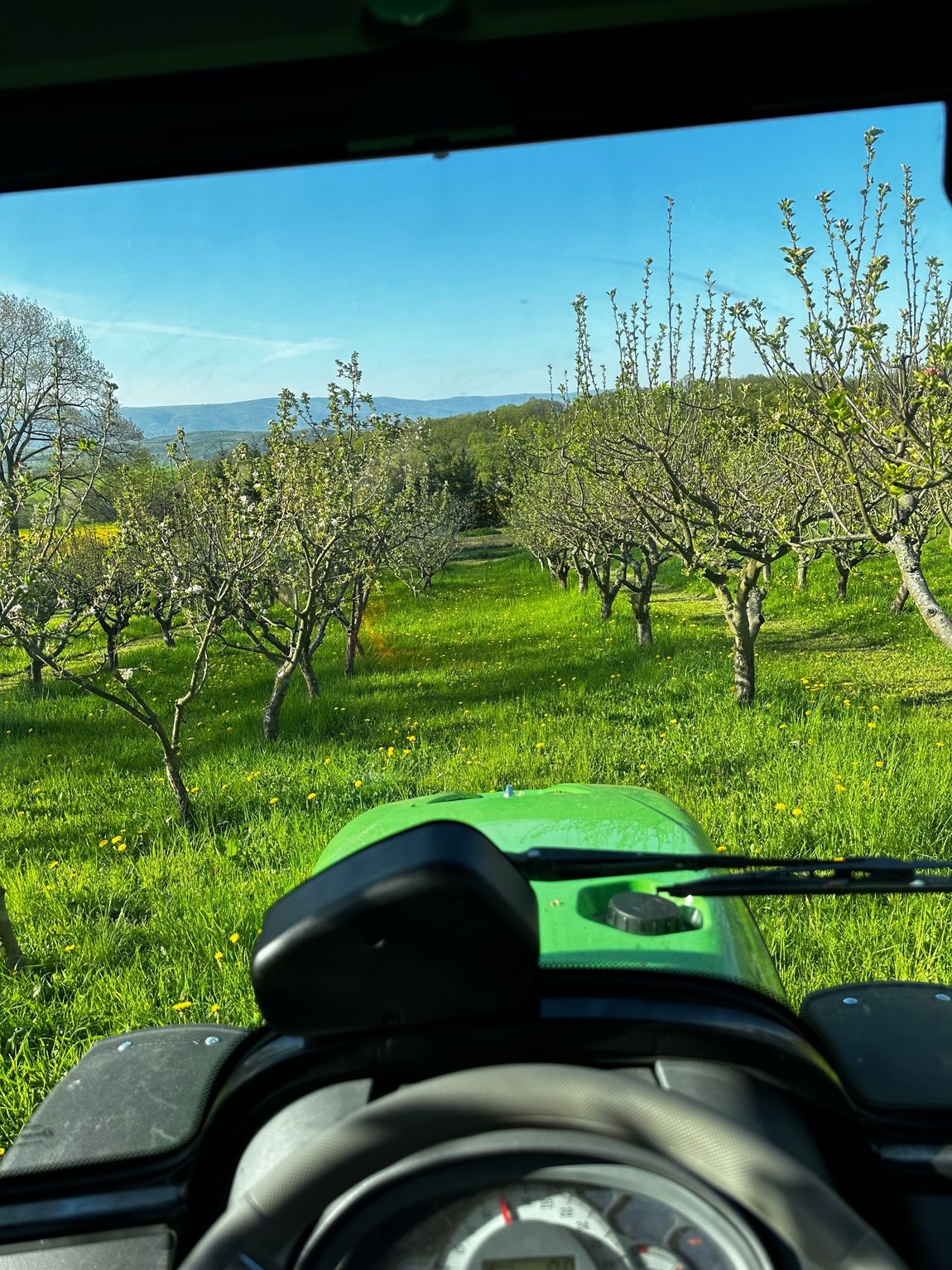 Apfelgarten in Tschechien mit Blick auf Erzgebirge