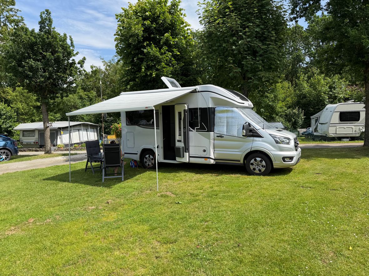 Benimar Tessoro 481