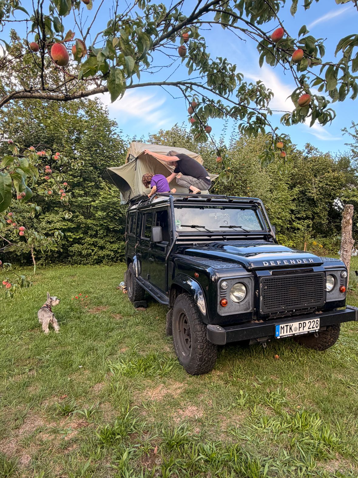 Defender