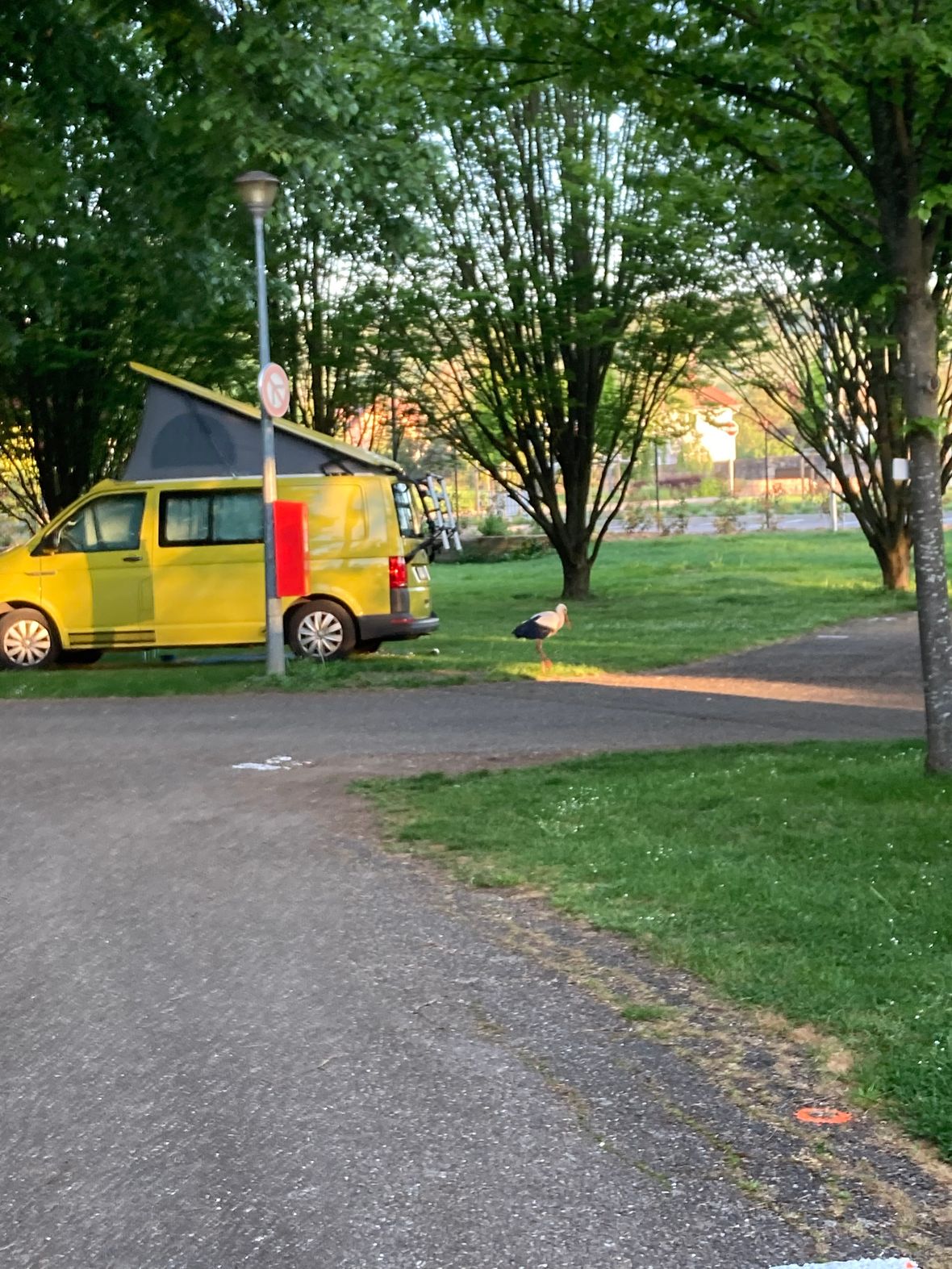 VW Camper mit Dachzelt