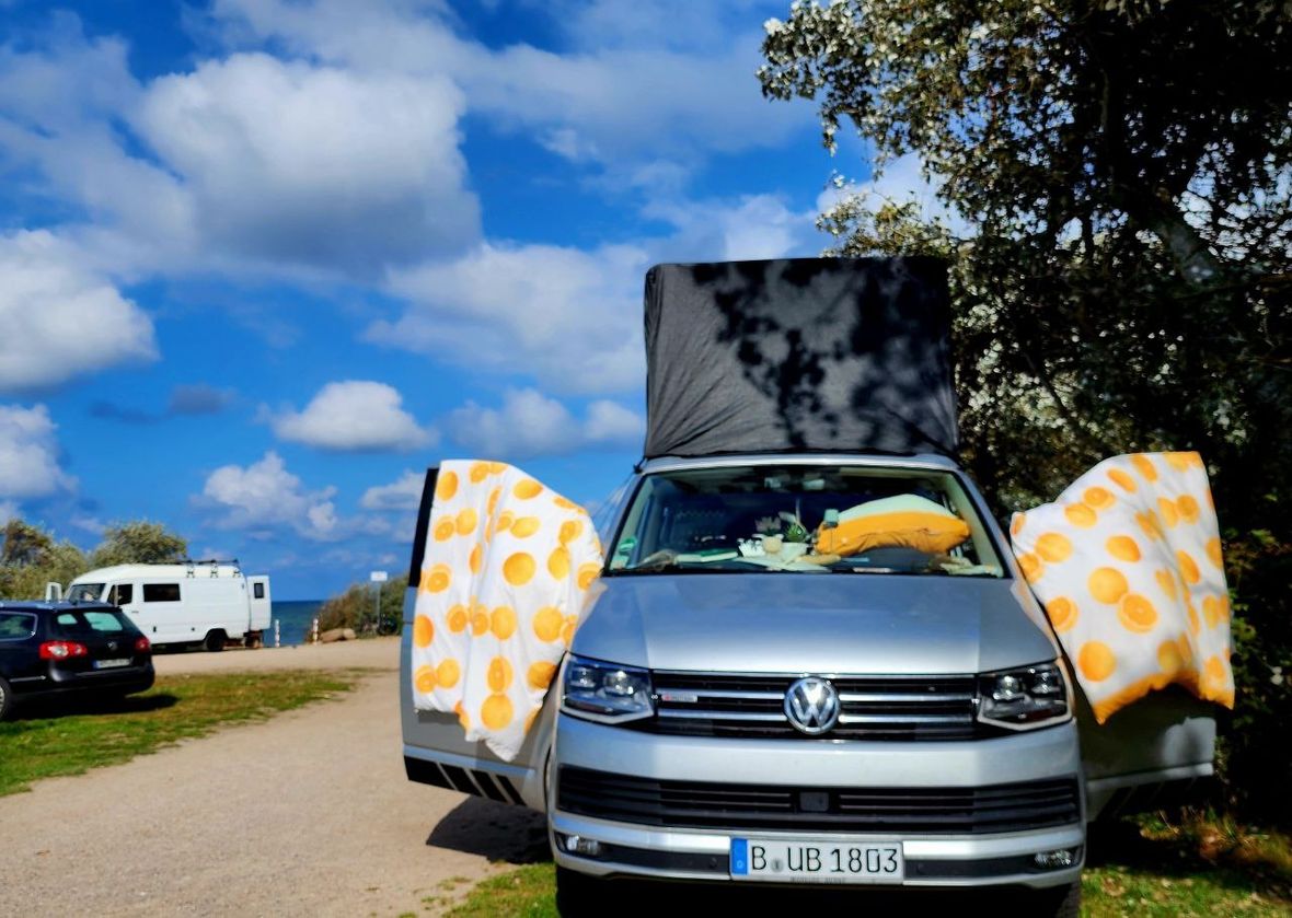 Bulli T6 mit Dachzelt