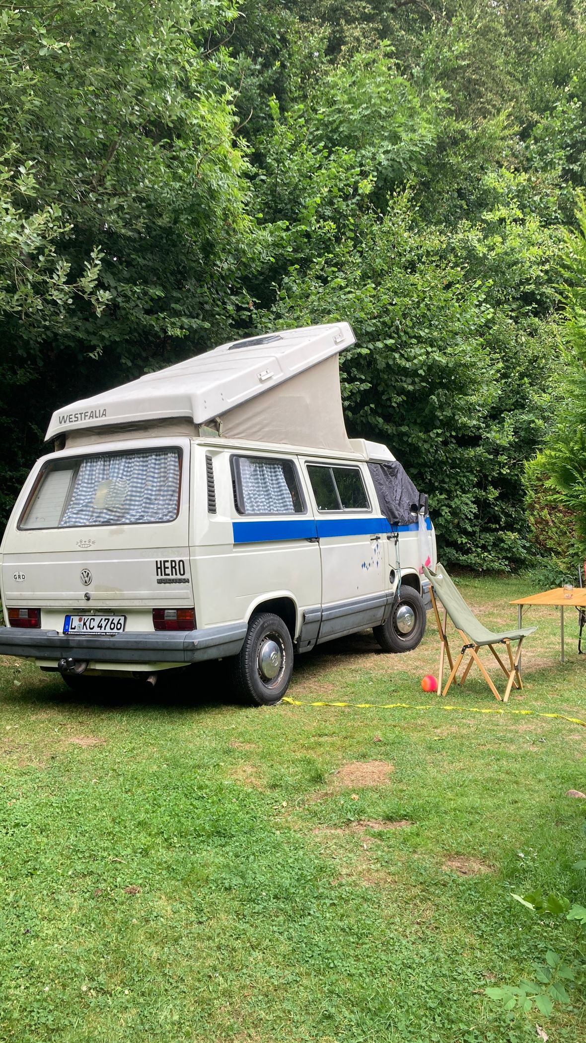 VW  T3