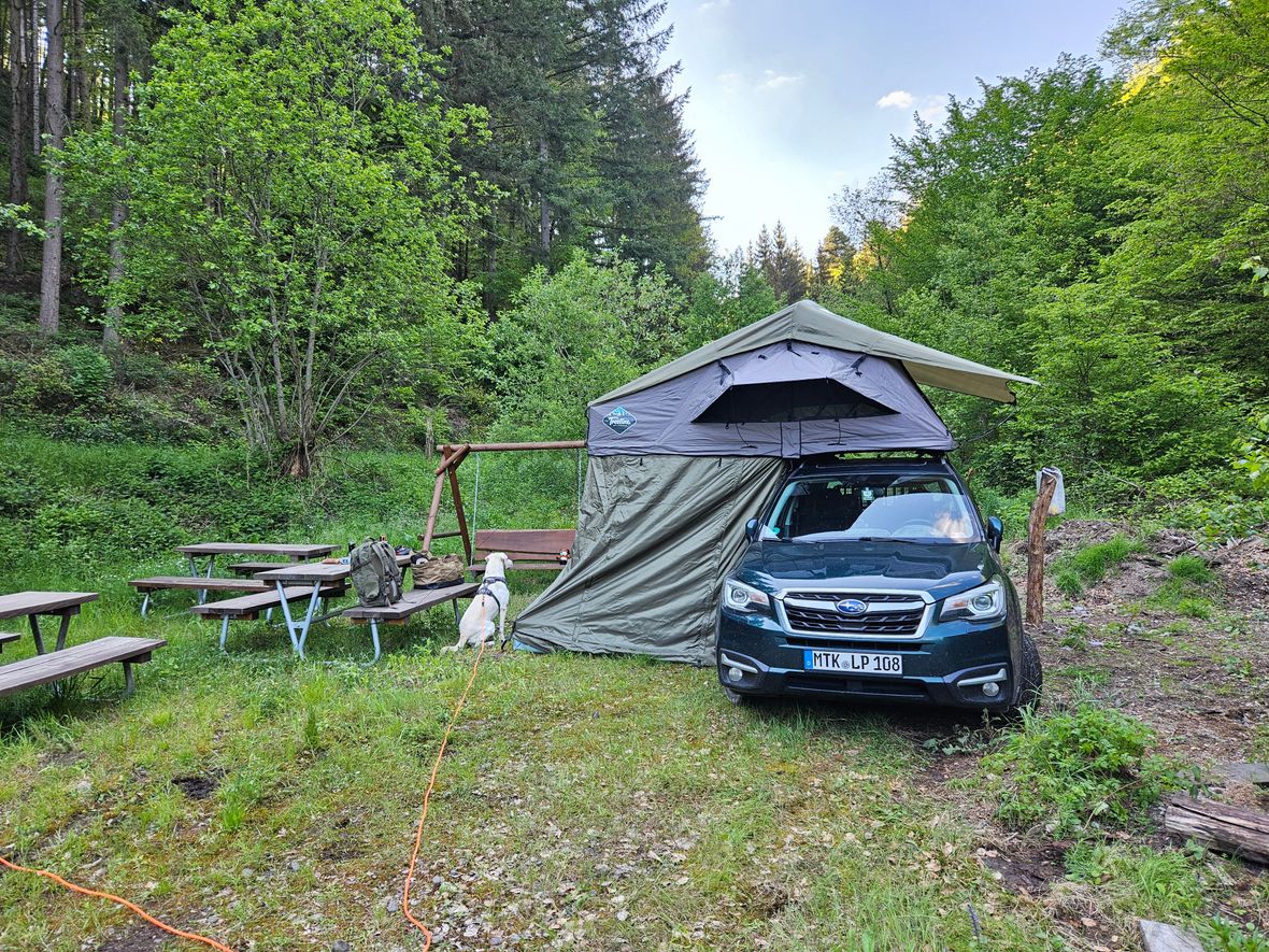 Subaru Forester mit Dachzelt