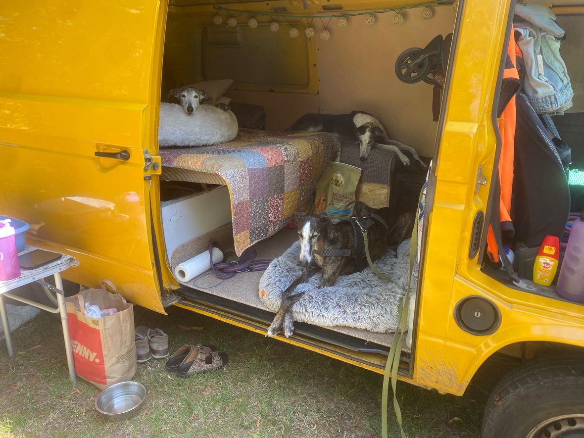 VW T3