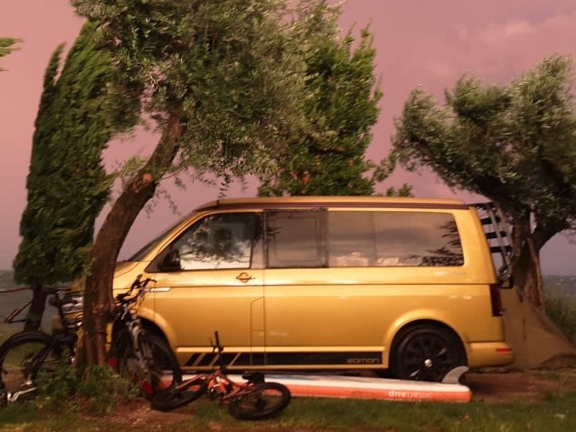 VW T6