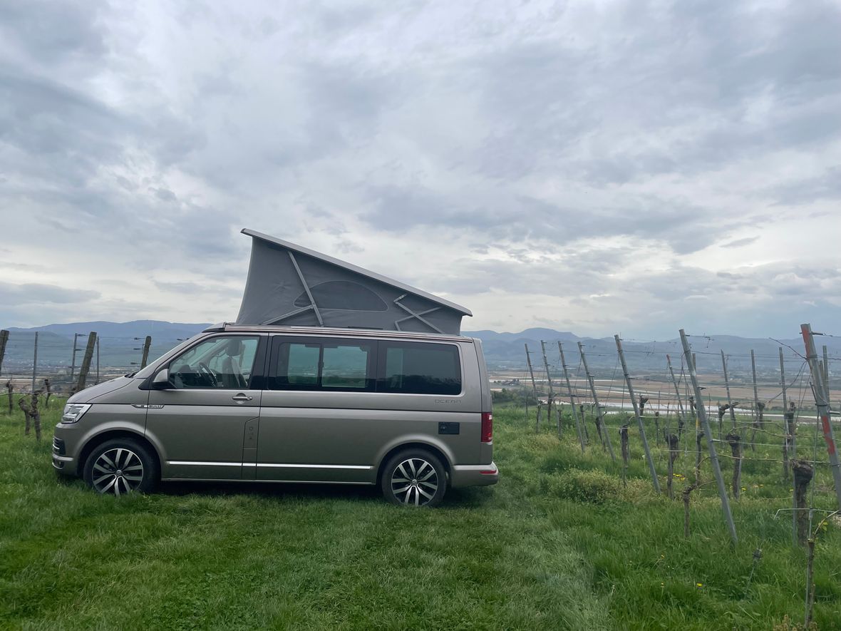 VW California T6