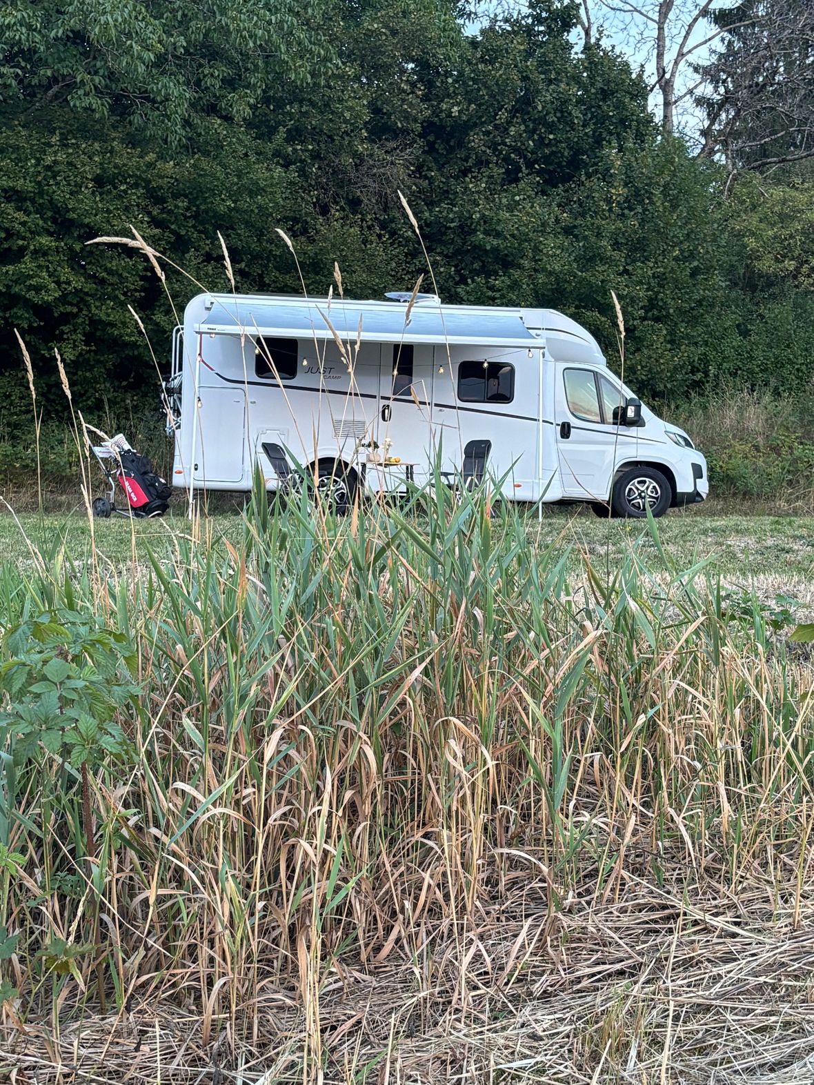 Just Camp