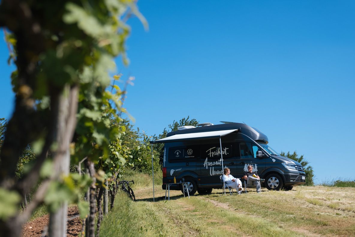 Camper steht auf einem Stellplatz direkt an den Reben bei einem Weingut