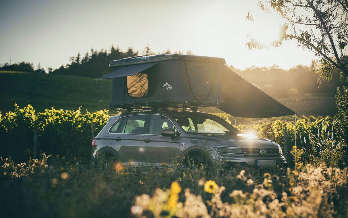 VW Camper mit Dachzelt steht auf einem Hinterland Platz in Alleinlage zwischen Weinreben