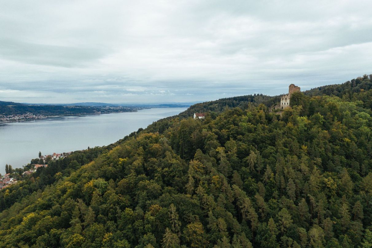 Bewaldeter Berg am Bodensee, es ist das Wasser, Bäume und ein Turm zu erkennen