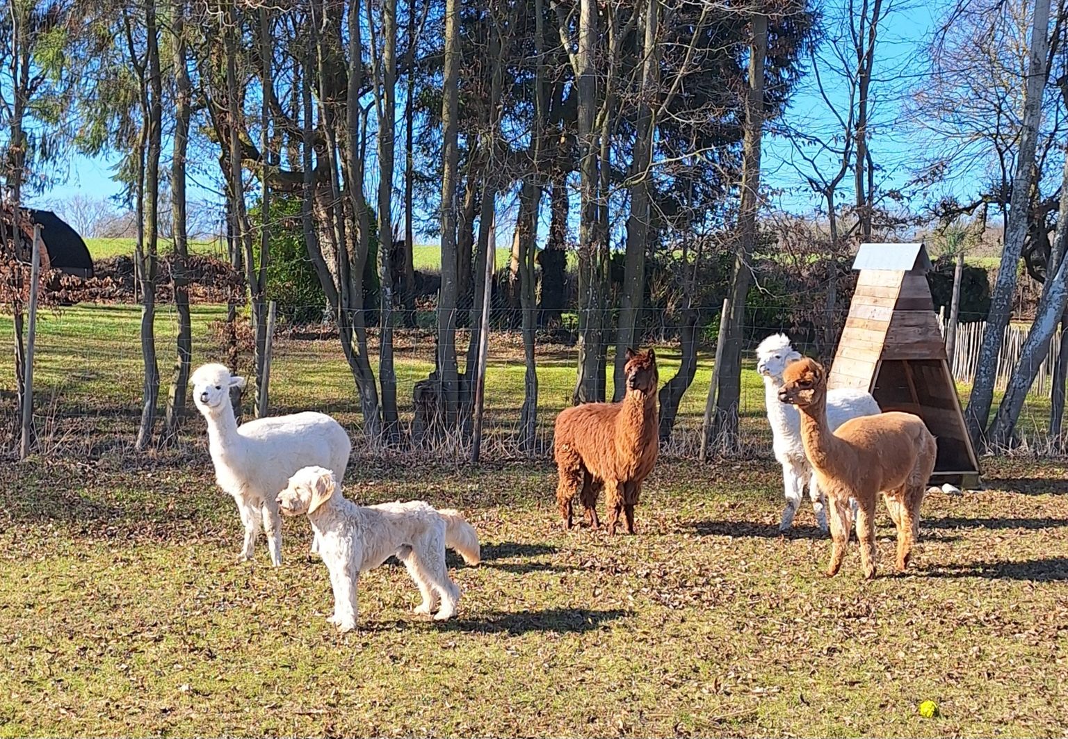 Herzlich Willkommen bei uns !