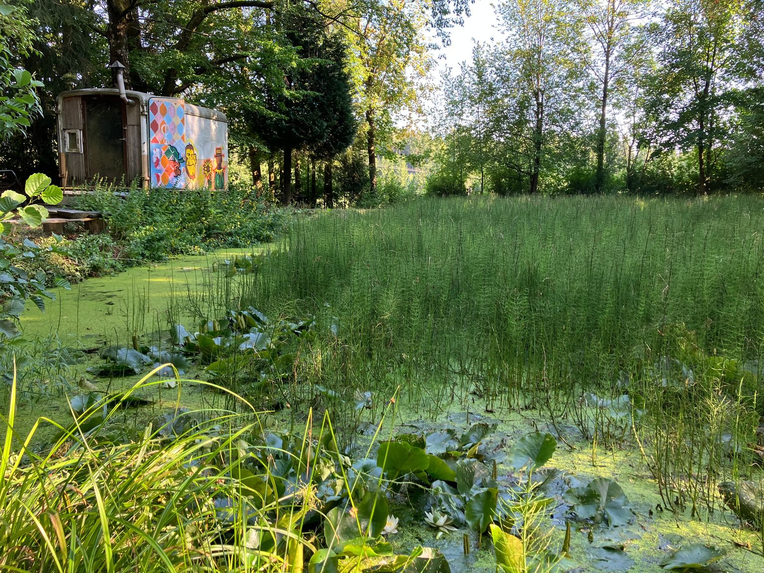 Privater Natur-Zeltplatz direkt am Teich