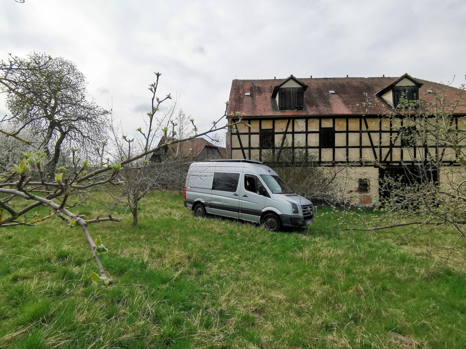 A spot in the orchard...