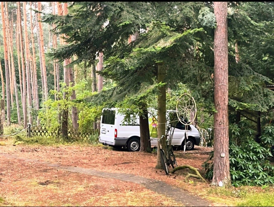 Ford Transit da 5 m