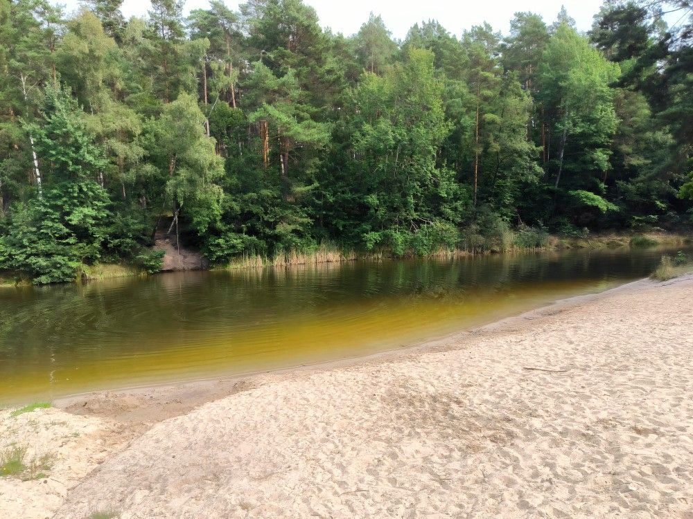 Lago della foresta