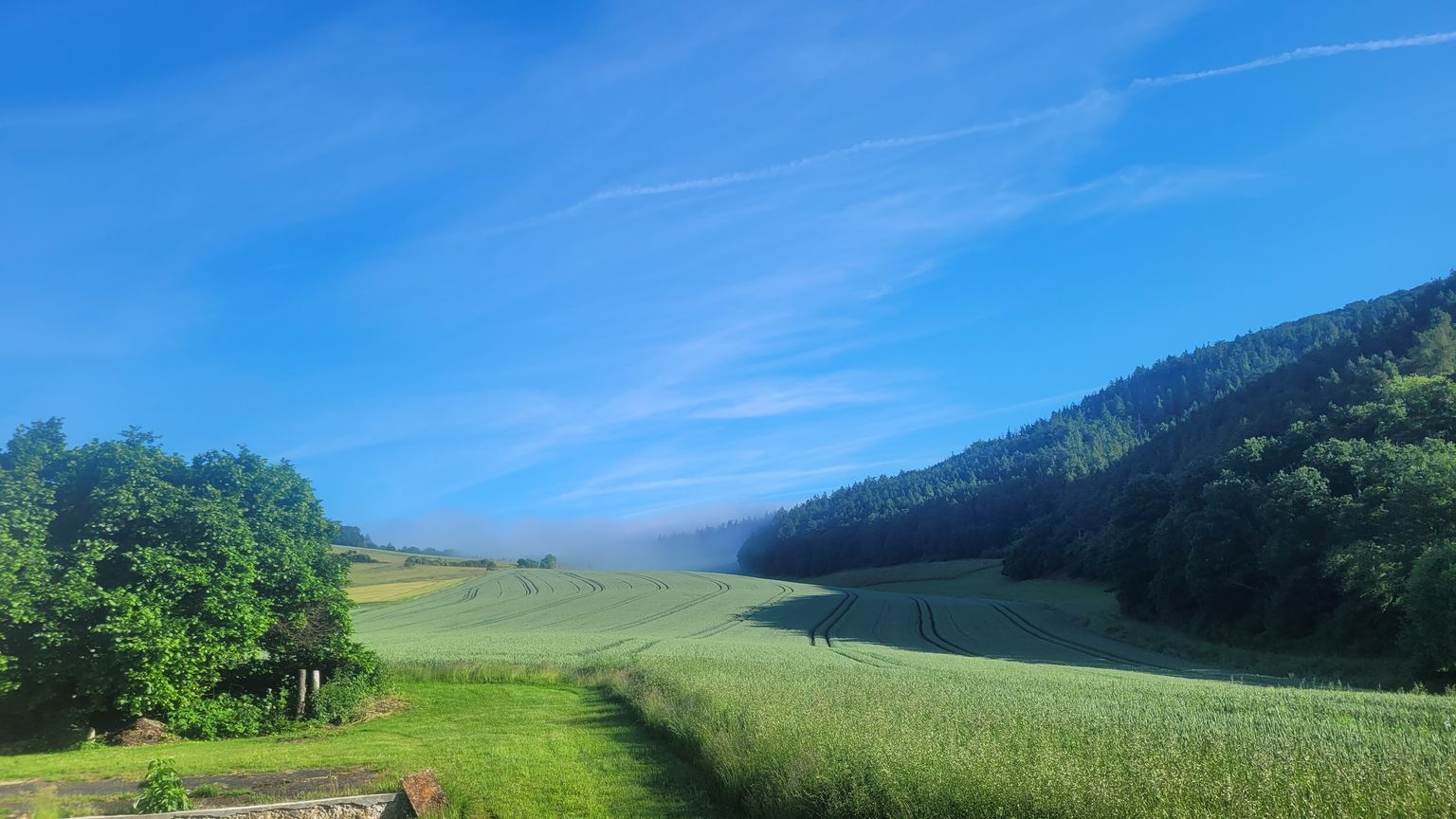 Vue de la maison depuis