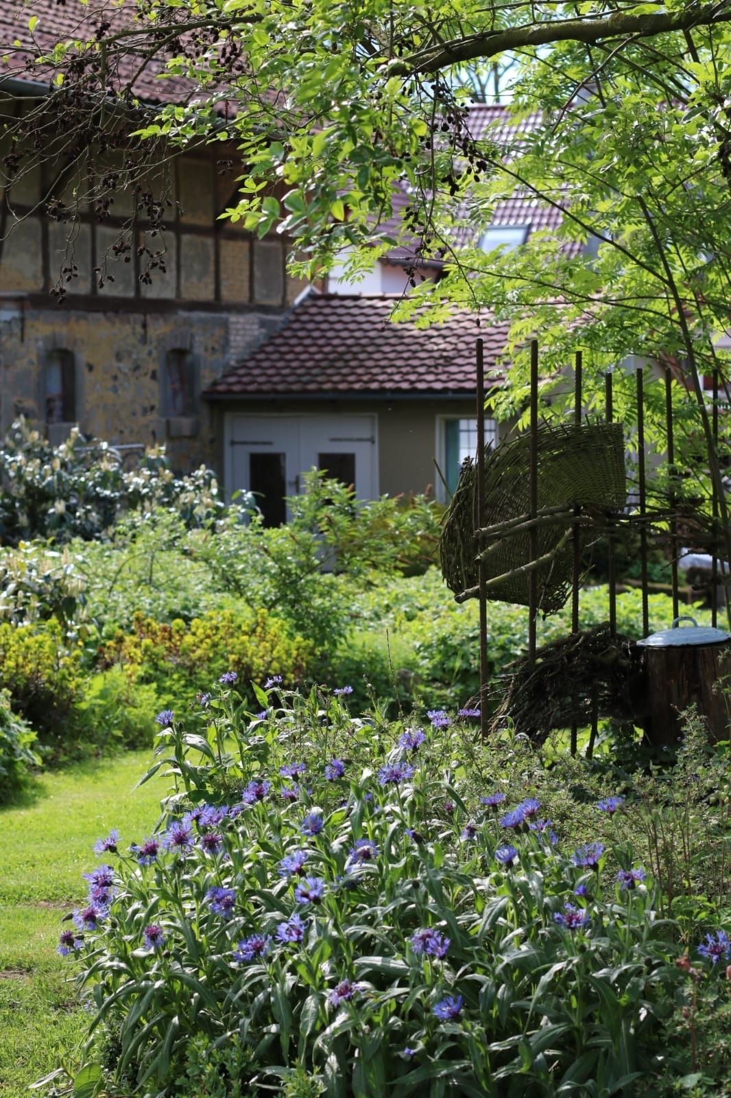 Blick zur Sommerküche