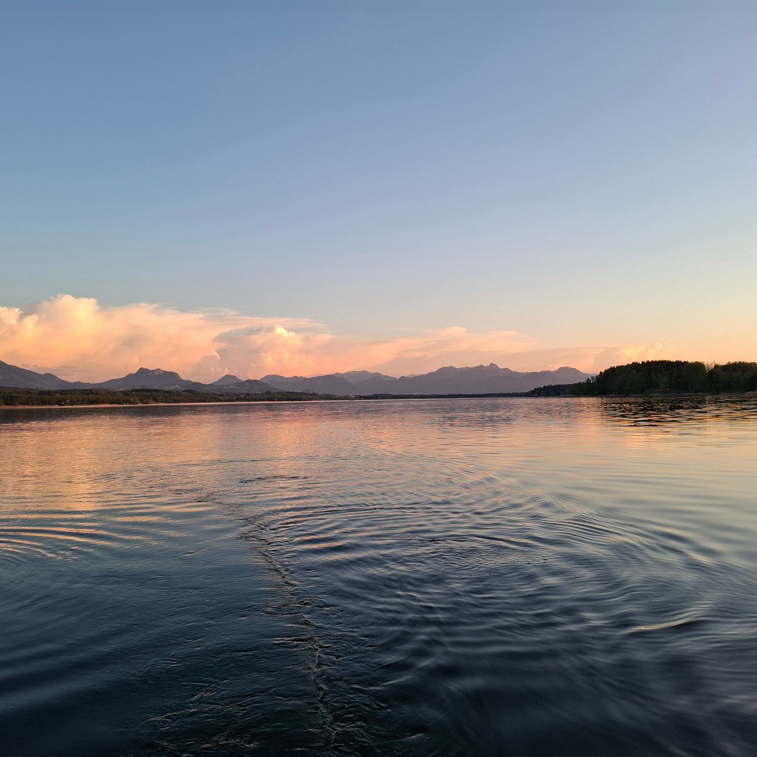 Simssee