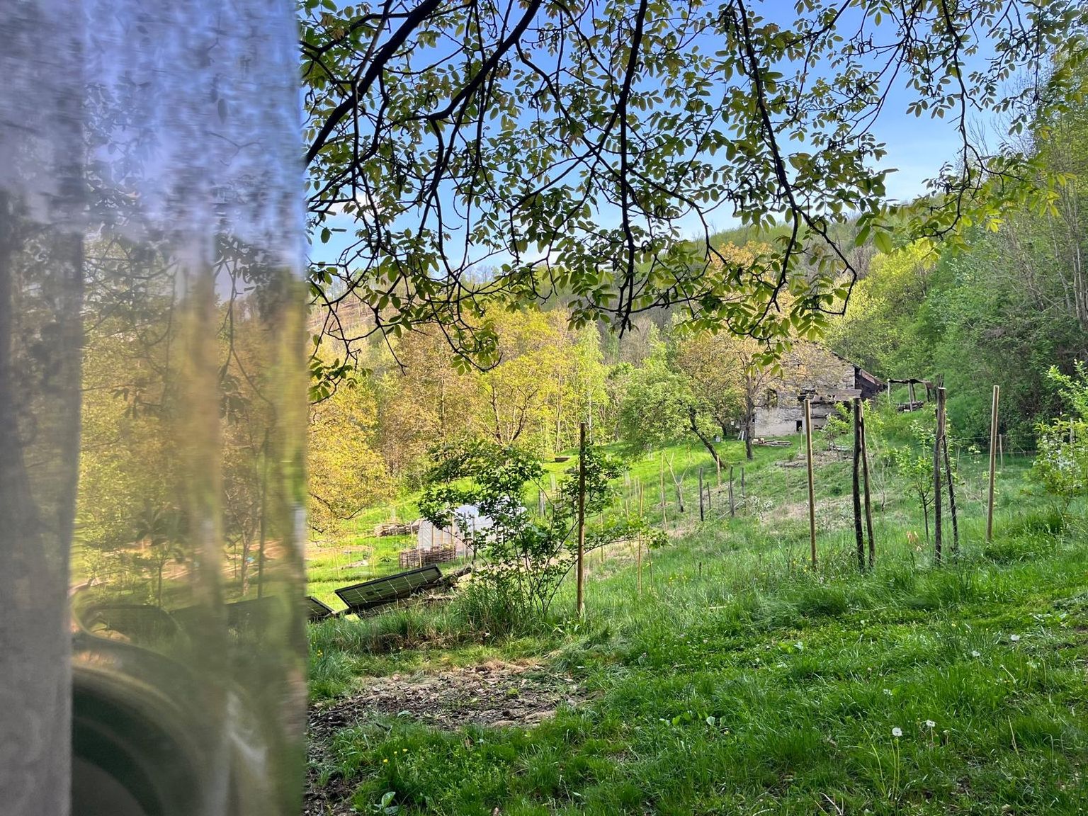die Aussicht