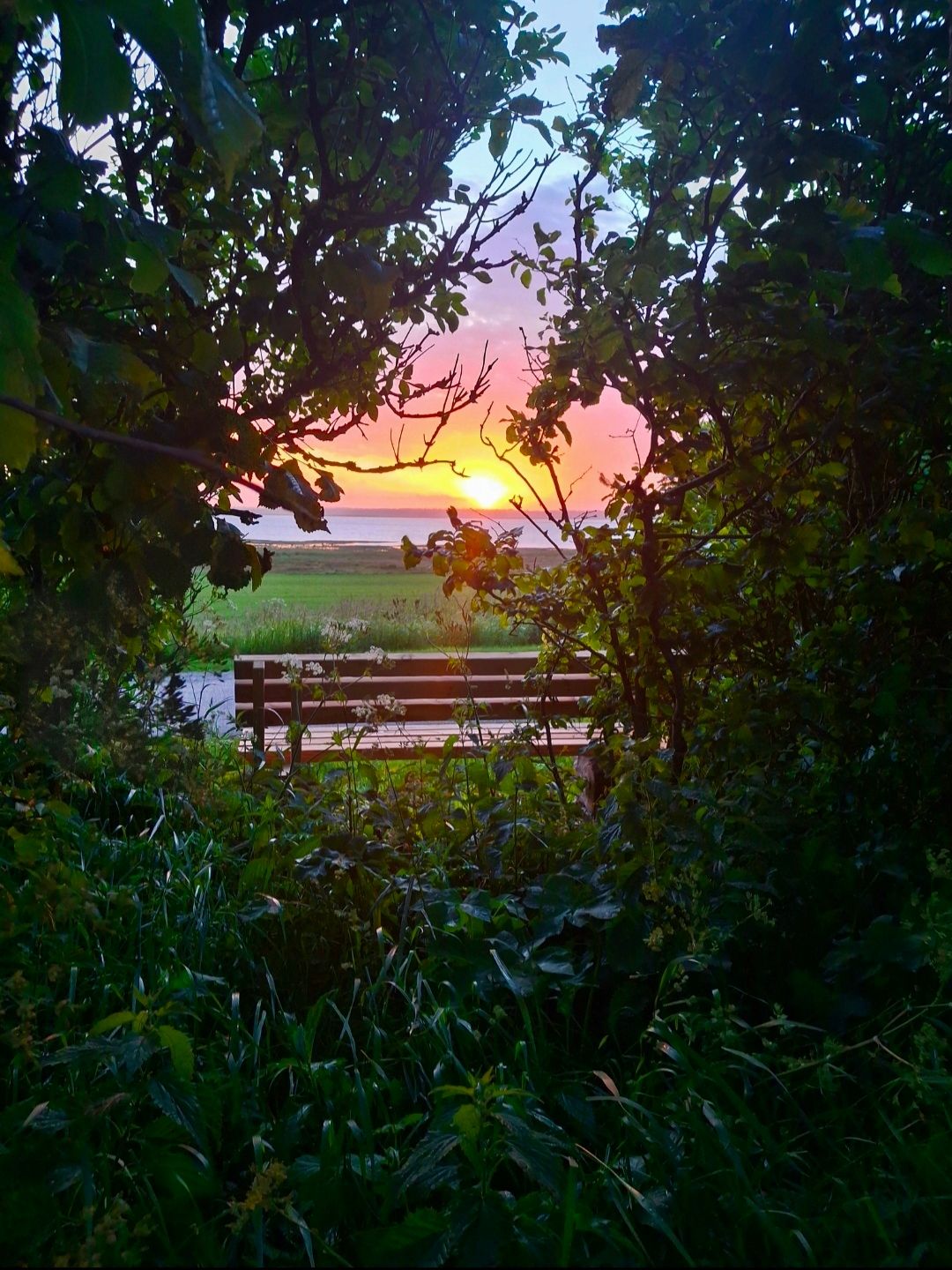 "Sonnenuntergangsgenießerbank"